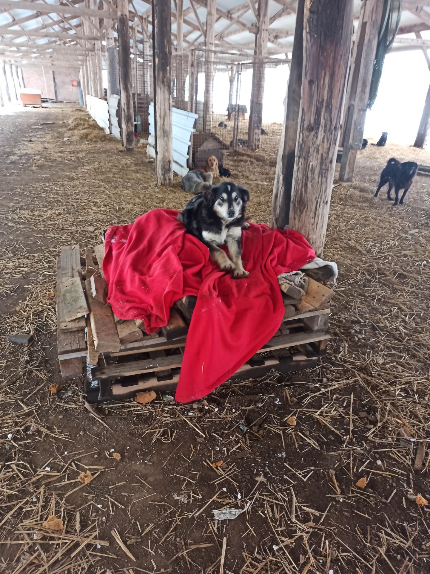 BETYNKA V TÁBOŘE....